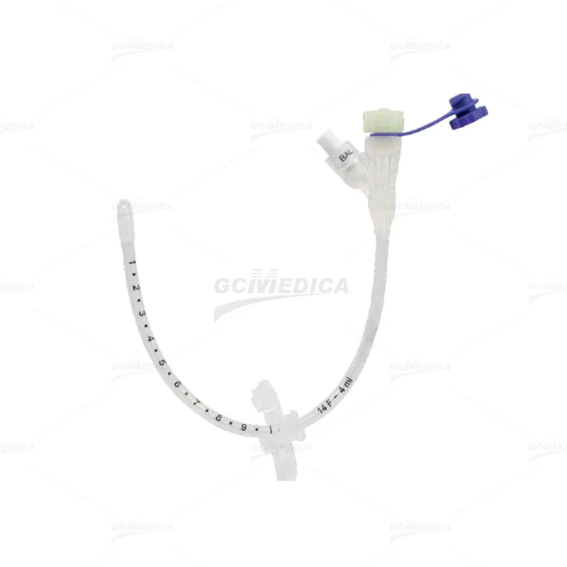 	Gastrostomy Tube